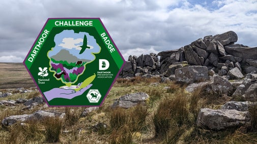 A craggy granite tor with another hill behind under a cloudy sky, with a beautifully designed Dartmoor Challenge Badge featuring an illustration of a tor, curlew and ponies in the shape of Dartmoor in purples and greens with the logos of the National Trust, Dartmoor National Park Authority, and the Dartmoor Preservation Association.